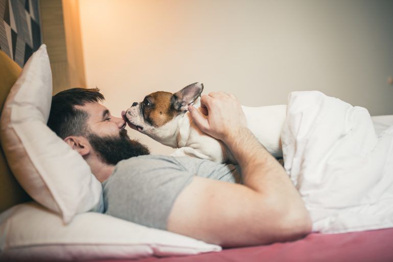 Choosing the right bed in your budget can be tricky if you go into the decision cold.